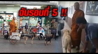 พระหนูที สุตธัมโม