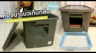 ของใช้แมว