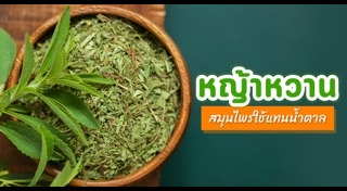 หญ้าหวาน