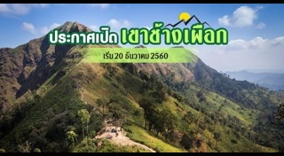 เขาช้างเผือก