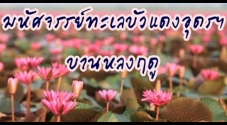 ทะเลบัวแดง
