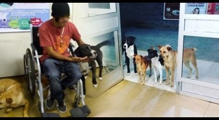 มิตรภาพคนกับสัตว์