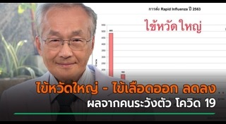 ไข้เลือดออก