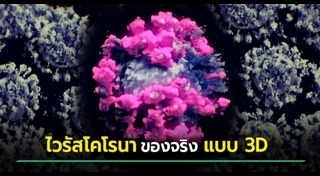 ภาพ 3 มิติ