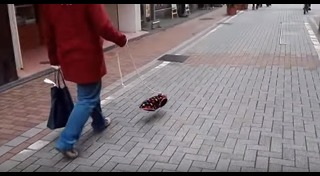 เสื้อหมา