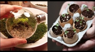 รีไซเคิลของใช้ในบ้าน