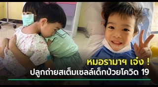 สเต็มเซลล์
