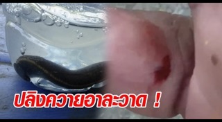 น้ำท่วมอ่างทอง