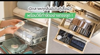 กลิ่นอับชื้น