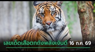 เลขเด็ดงวดนี้