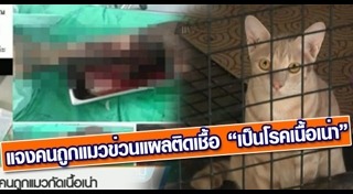 เชื้อโรคจากสัตว์เลี้ยง