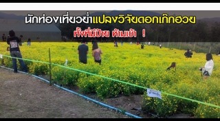 มหาวิทยาลัยแม่โจ้