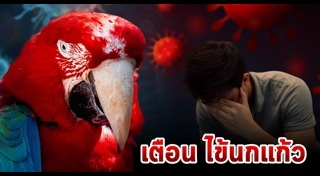 ไข้นกแก้ว