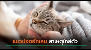 บุหรี่ไฟฟ้า