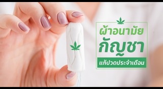 ผ้าอนามัยแบบสอด