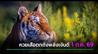 ข่าวหวย