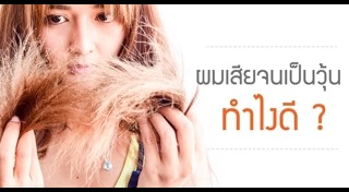 ผมแห้งเสีย