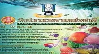 ปลาสวยงาม