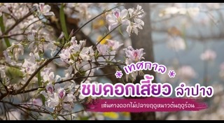 เที่ยวลำปาง