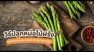 หน่อไม้ฝรั่ง