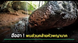 ที่เที่ยวบึงกาฬ