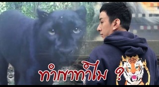 บี พีระพัฒน์