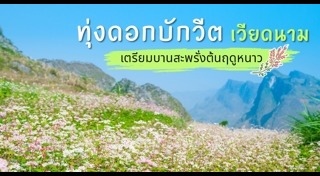 ที่เที่ยวเวียดนาม