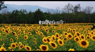 วันเกษตรแห่งชาติ