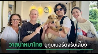 สุนัขจรจัด