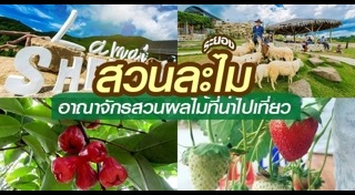 สวนผลไม้ระยอง