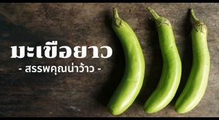 มะเขือยาว