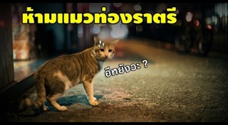 กฎหมายต่างประเทศ