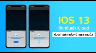 iOS 13