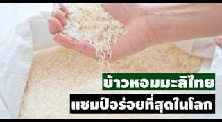 ข้าวหอมมะลิ