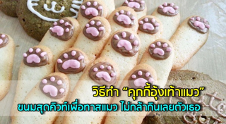 คุกกี้แมว