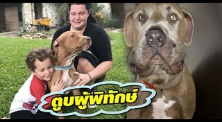 หมาช่วยเด็ก