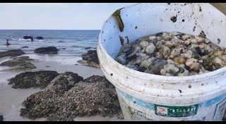 น้ำทะเล