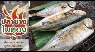 ปลาย่าง