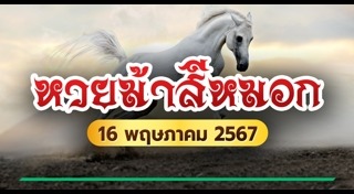 ม้าสีหมอก