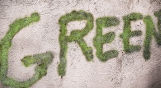 จัดสวนมอสส์