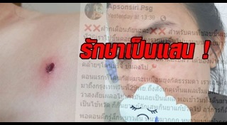 แมลงมีพิษ