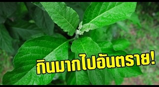ลดน้ำตาลในเลือด