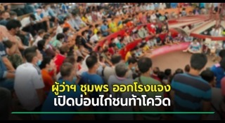 บ่อนไก่