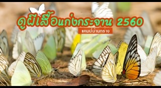 ผีเสื้อแก่งกระจาน
