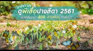 ที่เที่ยวสระแก้ว