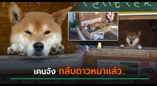 ข่าวสัตว์เลี้ยง