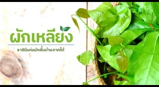 อาหารบำรุงสายตา