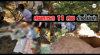 ล้างป่าช้า