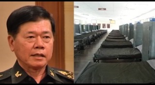 สวนยางพารา