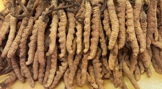 สมุนไพรปลุกอารมณ์ทางเพศ